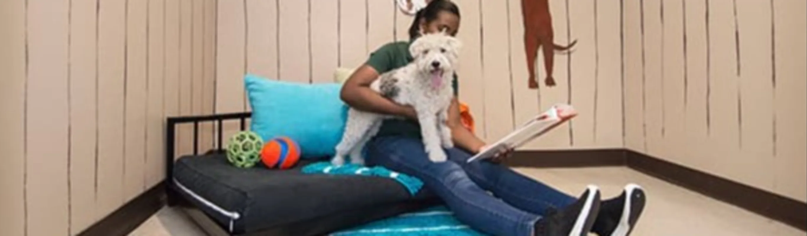 Employee reading to dog in fun suite